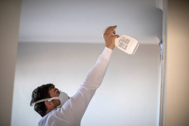 Best Professional Mold Removal  in Manasquan, NJ