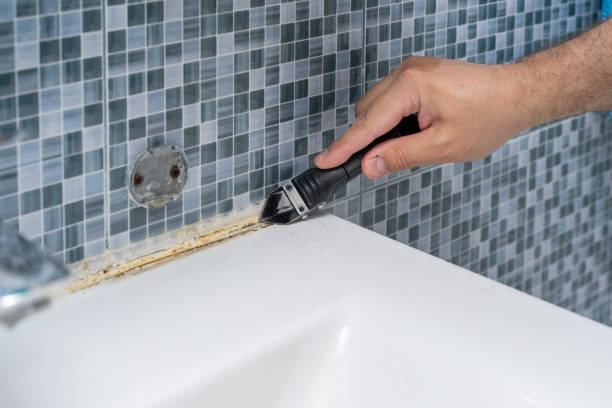 Best Same-Day Mold Removal  in Manasquan, NJ