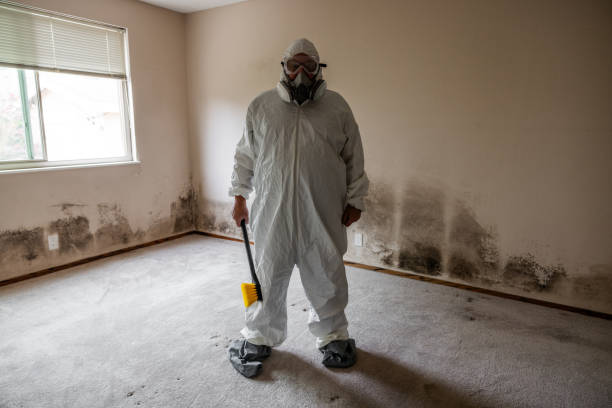 Best Attic Mold Removal  in Manasquan, NJ